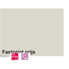 Fastprint print en kopy A4 80gr grijs 500vel 